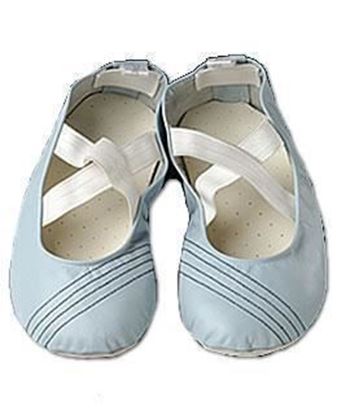 Picture of Pilates shoes Blue