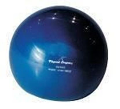 Picture of Weighted Soft Ball - 2kg