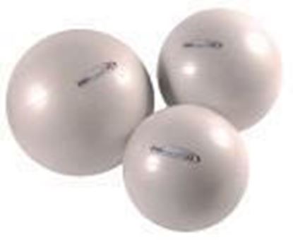 Picture of Pro-Maxafe Club Stability Ball - 53cm