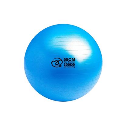 55cm Anti burst Pilates Stability Ball