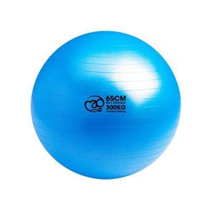 65cm Anti burst Pilates Stability Ball
