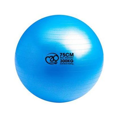 75cm Anti burst Pilates Stability Ball